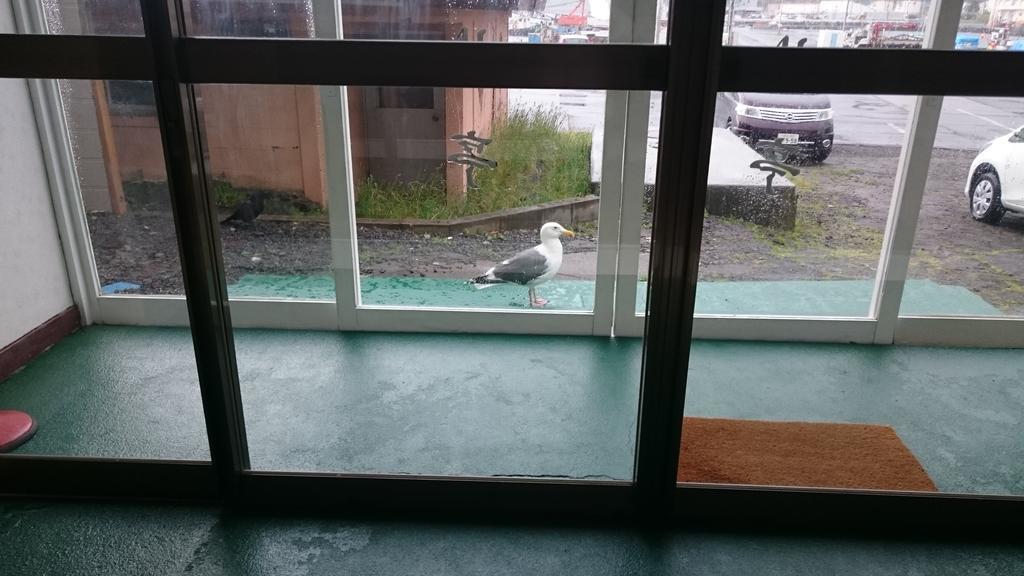 Ryokan Saihokutei Rishirifuji Esterno foto